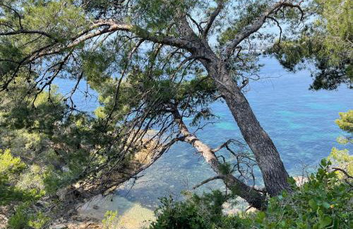 Location appartement au lavandou - Foto 16