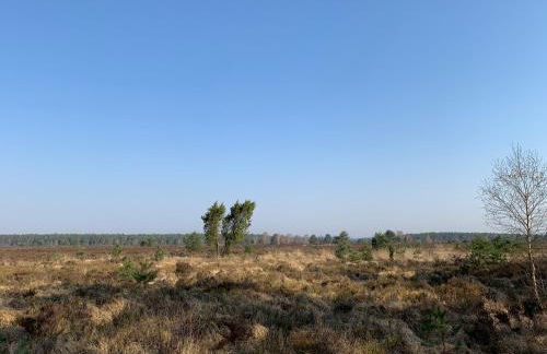 Nordheidehaus - Villa - Foto 7