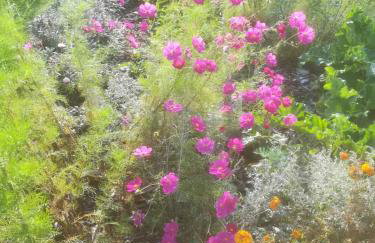 Ruralna kuća za odmor Pozojova hiža - Rural Holiday House - Foto 53