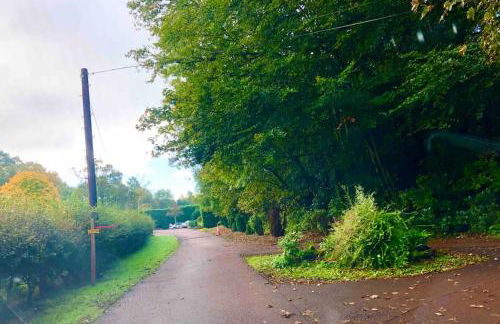 The Orchard Apartment, Clyde Valley - Foto 61