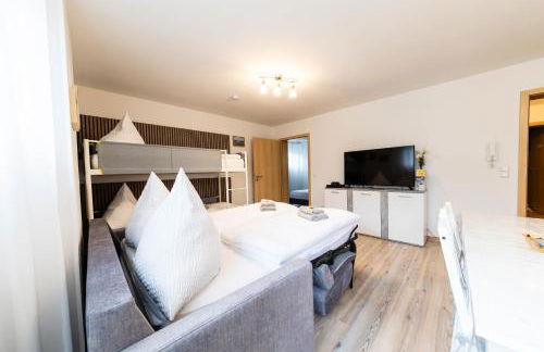 Fe Wo Europa Park - Rulantica-Straßburg - Colmar - Klimaanlage- Wallbox - Foto 71