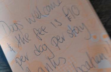 My Little Studio - Photo 6