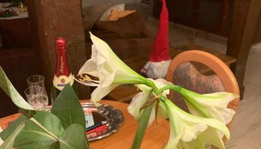 Ferienwohnung Zur Glewe - Foto 5