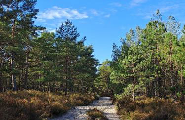 Domki Miłe Chwile - Foto 38