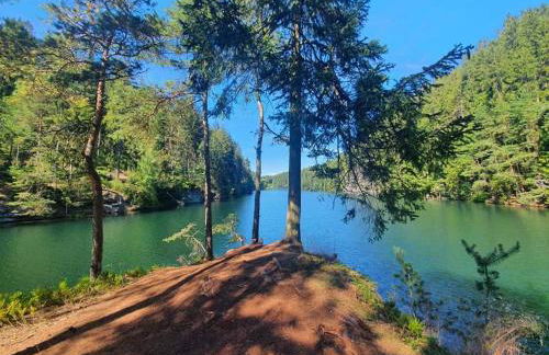 Thüringer Waldbaude - Foto 69