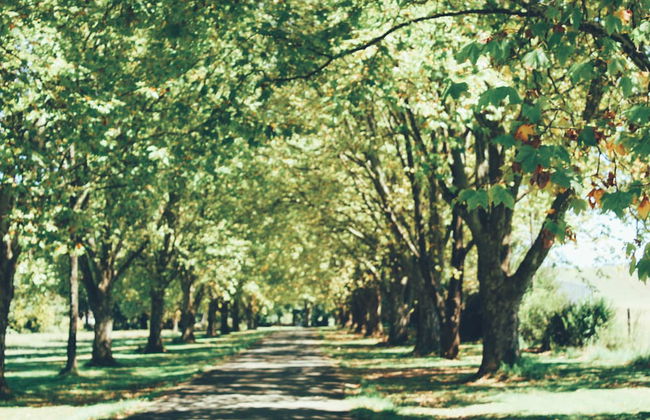 Moorcroft Manor Boutique Country Hotel - Photo 72