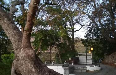 Eden View - Photo 43