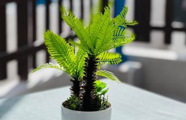 Bungalow Simone - Photo 12