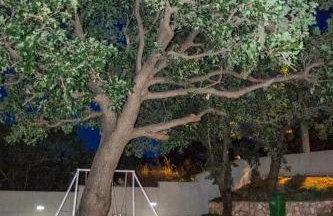 Villa Macanovi dvori with private pool - Photo 49