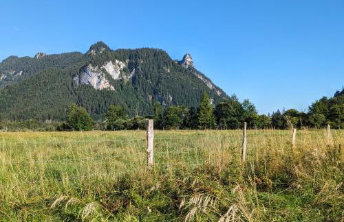 Zur alten Schmiede - Foto 23