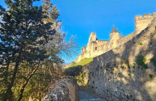 CITE MEDIEVALE- LE REMP'ART - 3 Chambres Tout Confort-au pied de la Cité- Accès direct piétons - parking gratuit - Foto 24