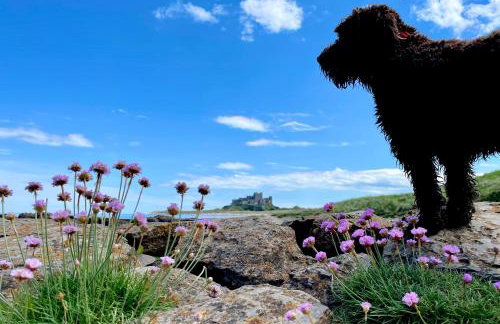 Pebble Cottage - Tranquil stone cottage in Rock conservation area - Foto 19