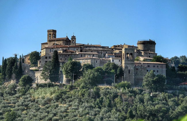 Historic Castle With View - Photo 28