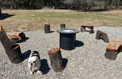 Texoma Getaway - Tiny House on a Pharm - Foto 21