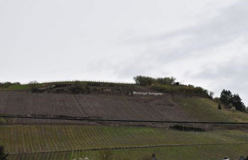 Kleine Auszeit im alten Weingut - Foto 27