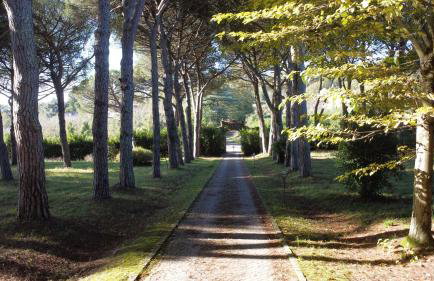 Villa Cicas - Foto 19