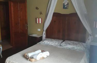 il platano - Foto 7