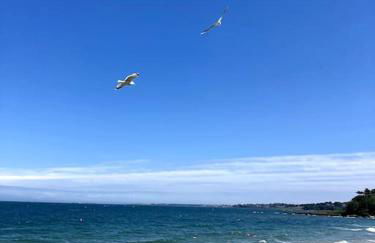 'The Studio' Designer, seaside cottage - Foto 8