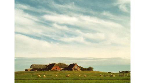 Friesenblau im Haus Schladenhaufen - Foto 2