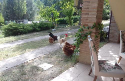 Villa Patti villa con piscina e camino nelle Marche - Photo 53