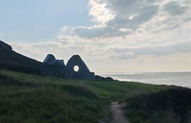 Les Sternes - Foto 49