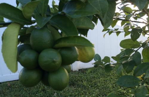 Enjoy The Salt Life Private Salt Pool Walk 2 Beach Relax in Jax - Foto 14