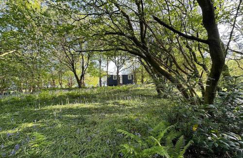 Shepherd's Hut - Sleeps 2 - Pet Friendly - Parking - Foto 53