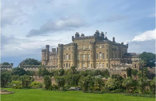 The Wee Sprout - Foto 18