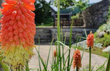 Holiday Home Demark - Foto 50