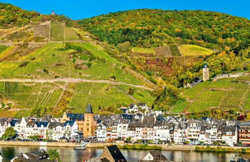 Ferienhaus Am Moselstausee - Foto 59