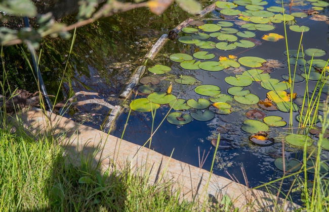 Azienda Agricola Spirdo - Foto 44