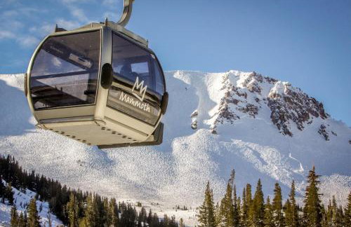 Summit 295 - Photo 9