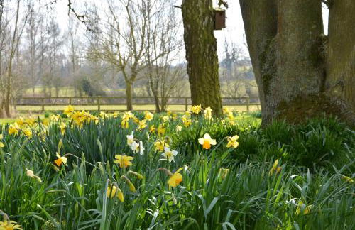 Bird Cottage, Burgh - Foto 6