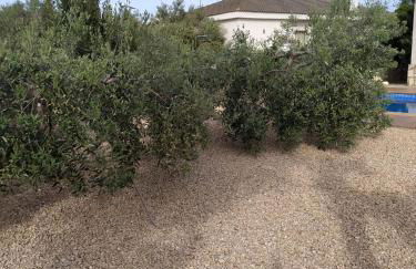 Diamond House - Foto 10