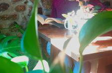 La Casa de Su - Foto 56