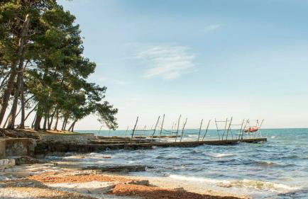 Apartmani Mirjana Umag - Foto 23