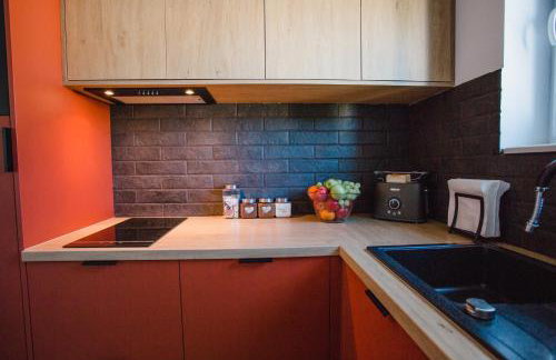 W&K Ginger Suite - Faktura VAT, Parking w garażu, szybkie Wi-Fi, Netflix - Photo 41