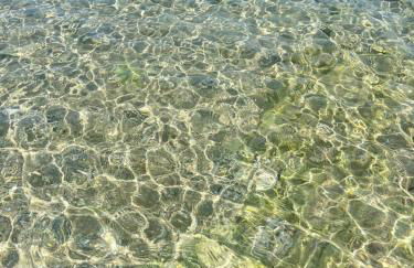 Giardino di Chiara al mare - Foto 24