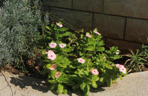 Apartments by the sea Sutomiscica, Ugljan - 8474 - Photo 15