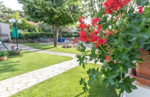 MY DALMATIA - Beach Apartment Jadrija - Foto 37