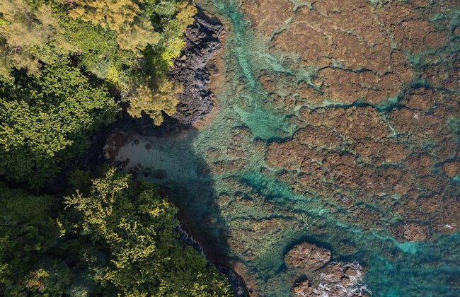 The Cliffs at Princeville - Foto 67