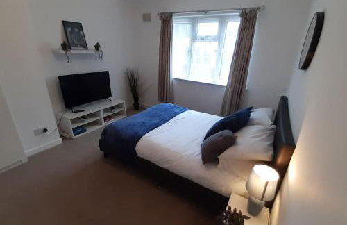 Free Parking Spacious Home - Photo 15