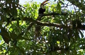 Casa Rústica Recanto do Sol - Foto 6