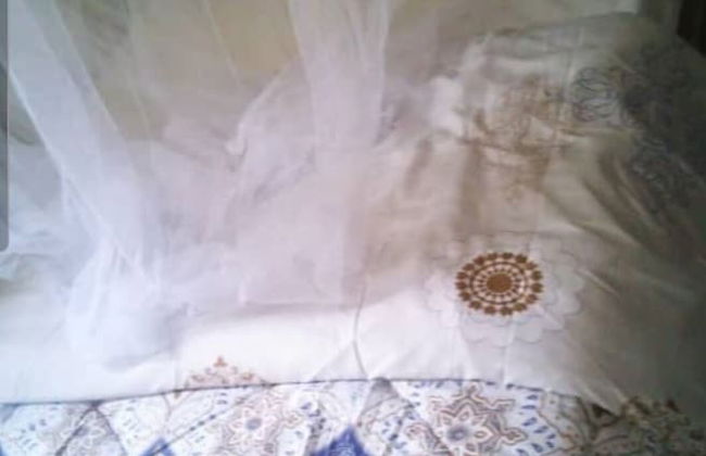 Captivating 4-bed House in Kampala - Foto 3