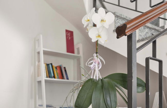 Apartments Bella Villa - Foto 2