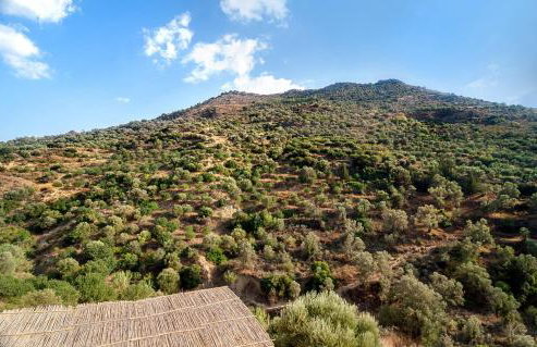 Kamihis Farm House Experience - Foto 23