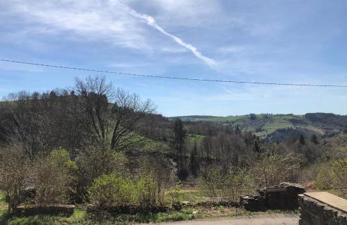 L'orée du Mézenc et son bain nordique privatif - Foto 11