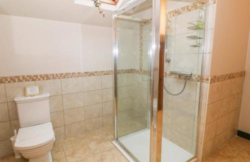 Craig Y Deryn - Foto 18