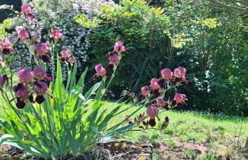 Gîte La Cauvignyere - Foto 6