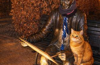 Leśna Przystań Rumia - obok Gdyni i Aquaparku Reda - Foto 25